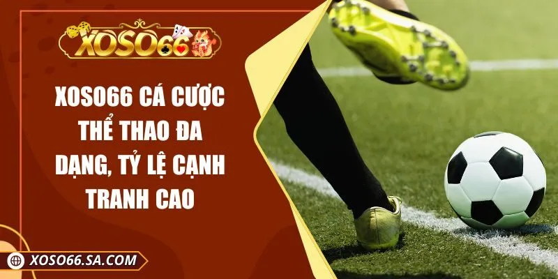 XOSO66 Cá Cược Thể Thao Đa Dạng, Tỷ Lệ Cạnh Tranh Cao