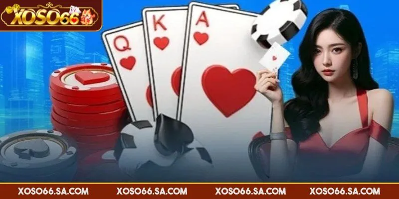 Trải nghiệm thực tế và phản hồi từ người tham gia trực tuyến